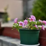Guest house Saint Maria Velingrad